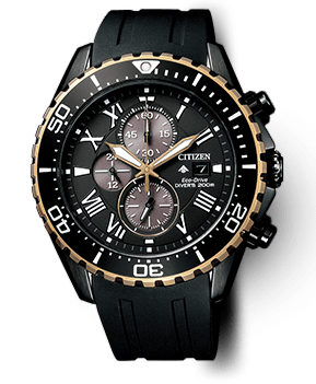 PROMASTER
